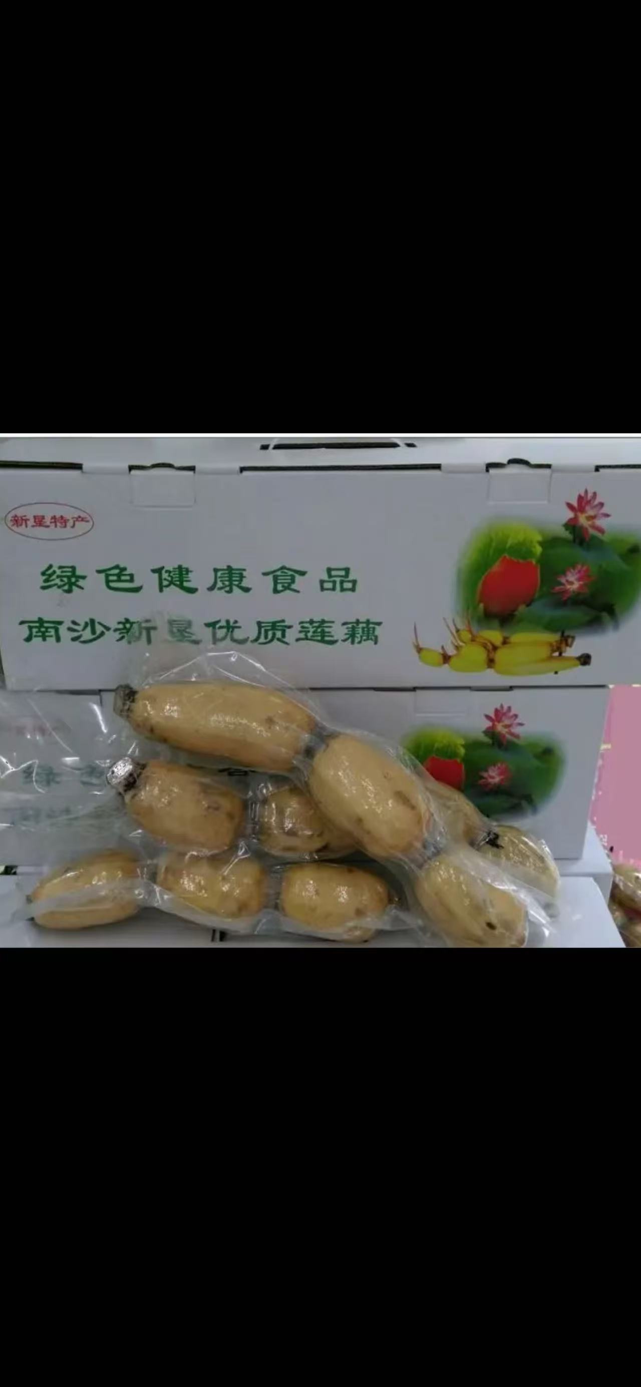 Verse Lotuswortel (莲藕) 1kg