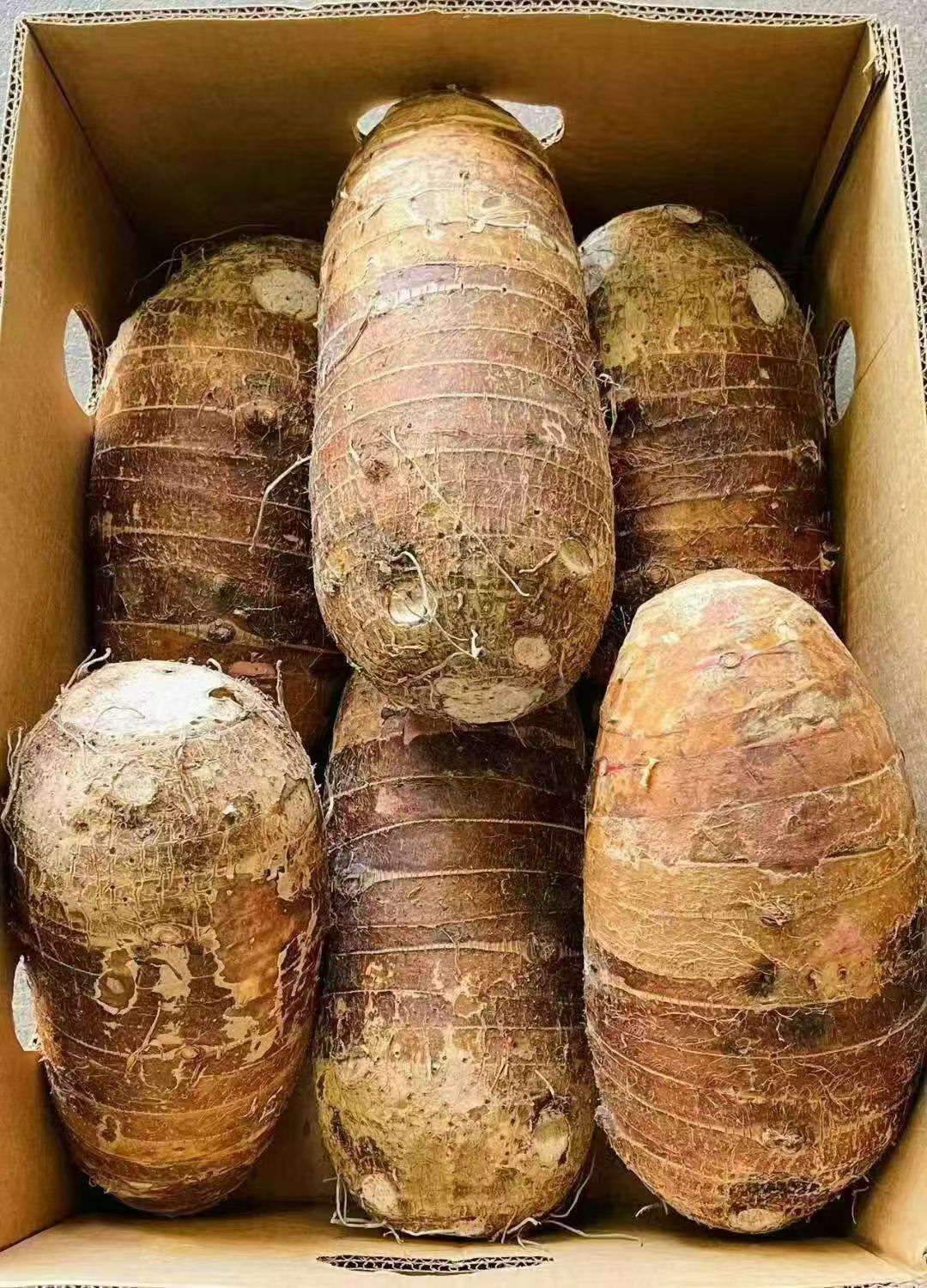 Grote Taro (香芋头) 1kg