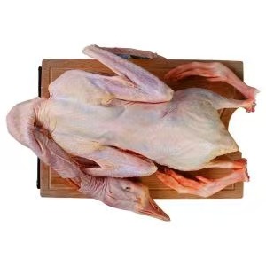 Chinese Oude Eend (老鸭)